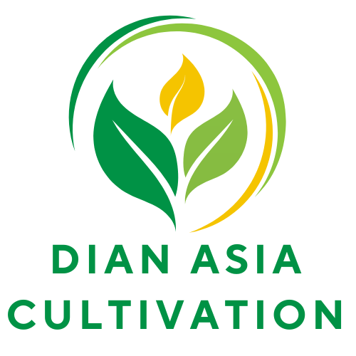 Dian Asia